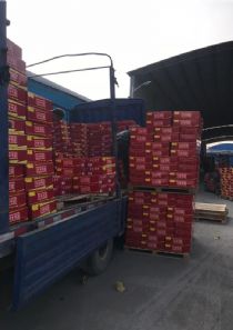 点击查看详细信息<br>标题：发货现场 阅读次数：873